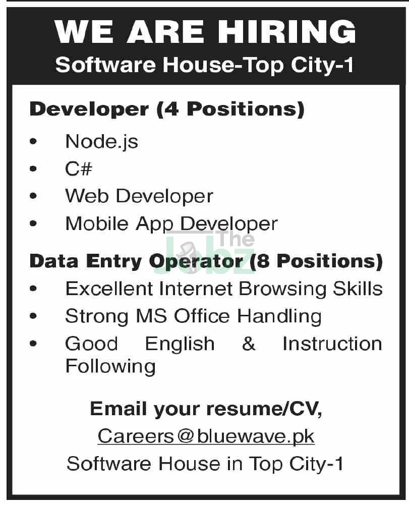 Software House Hiring: Management Jobs in Islamabad, Pakistan - Management