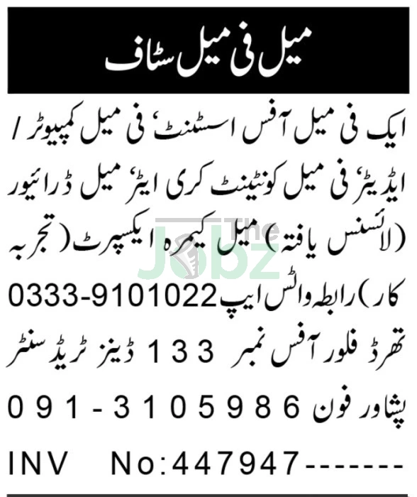 Camera Expert Content Creator Jobs 2025 Peshawar Opportunities - Private Company