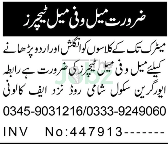 The Evergreen School Peshawar 2026 Teaching Vacancies Open - The Evergreen School