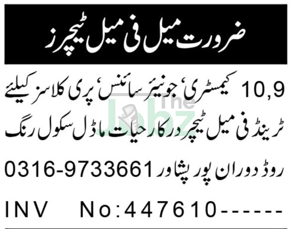 Hayat Model School Peshawar 2025: Teaching Admin Vacancies - Hayat Model School