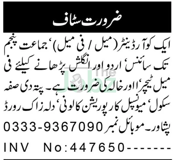 The Suffah School Peshawar Coordinator Jobs 2025: Apply Now! - The Suffah School