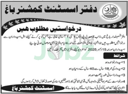 Assistant Commissioner Office Bagh Jobs 2025: Apply Now for Latest Vacancies - Government Organization