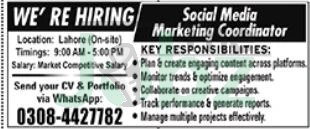 Social Media Marketing Coordinator Job Opportunities in Lahore, Pakistan - Management